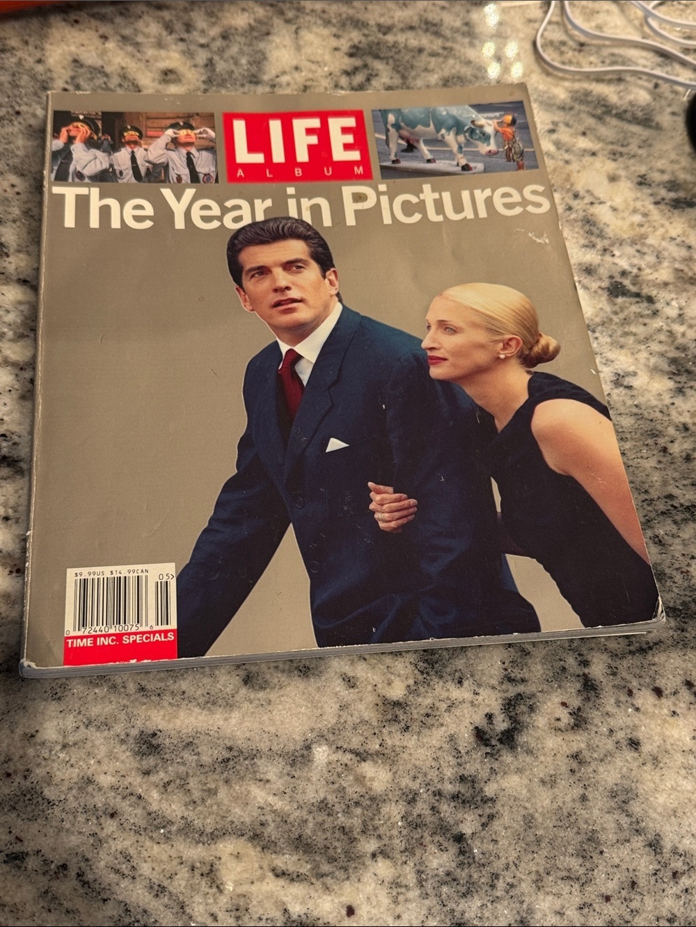 Life Magazine The Year in Pictures - White & Gray Cover